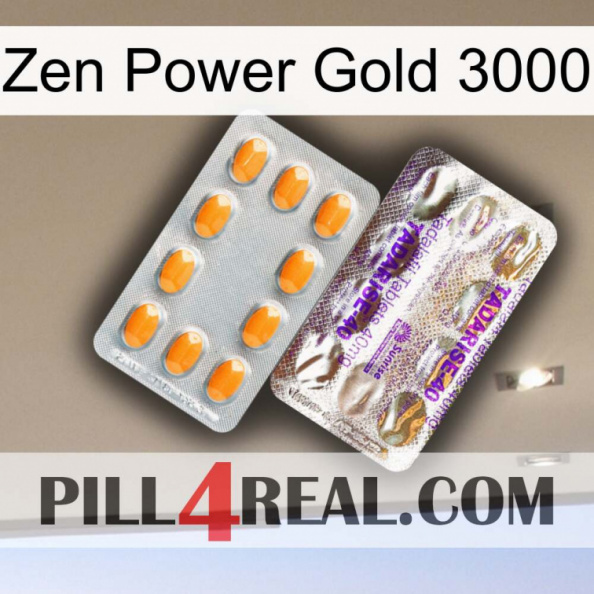 Zen Power Gold 3000 new12.jpg